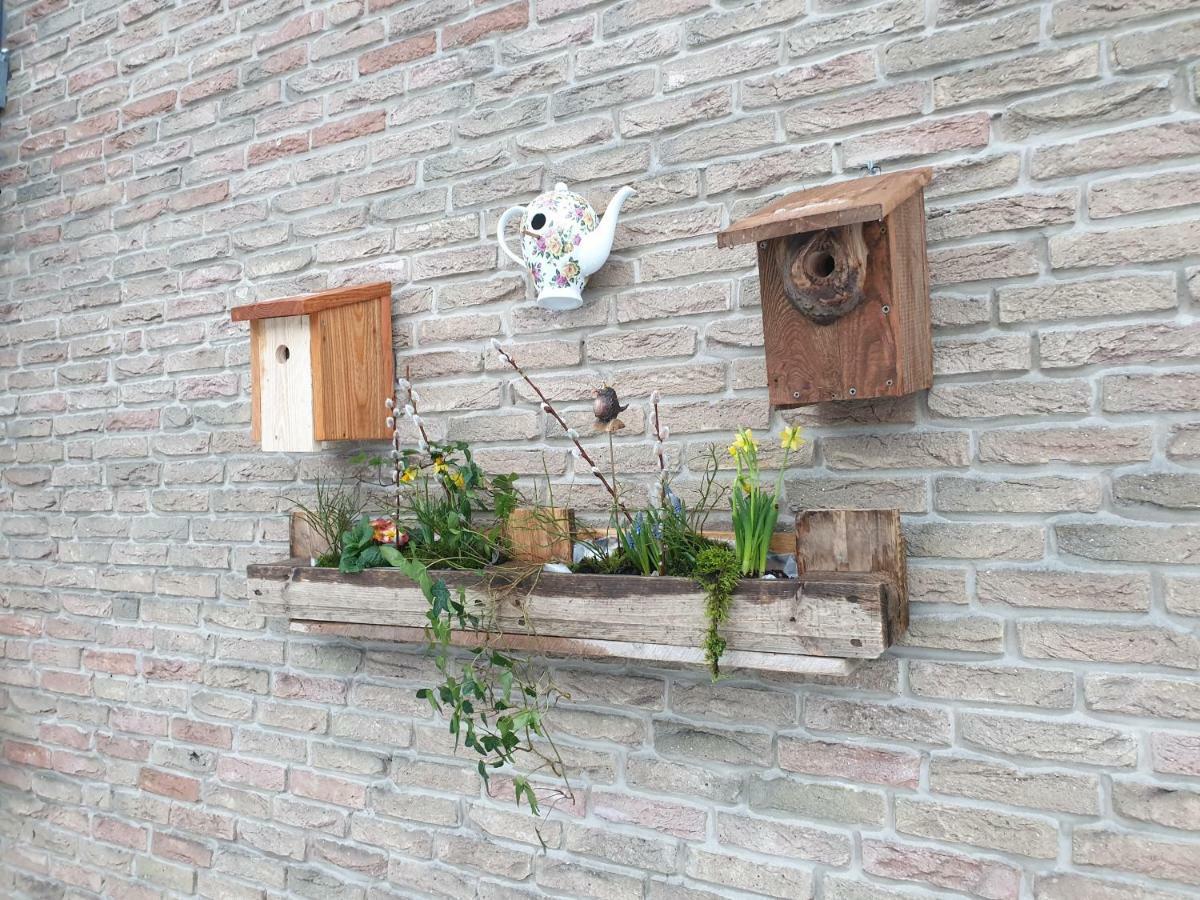 Ferienwohnung Vogelvilla Altenbeken 외부 사진